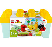 LEGO Duplo Organic Garden (10984)