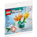 LEGO Friends Kwiaty przyjaźni (30634)