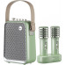 Divoom Divoom SongBird-HQ Portable głośnik Bluetooth z mikrofonami - green