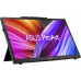 Asus ProArt PA169CDV  (90LM0711-B01I70)