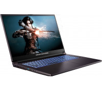 Laptop Dream Machines RG2050-17PL25 i7-13620H / 16 GB / 1 TB / RTX 2050 / 144 Hz