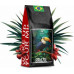 Blue Orca Coffee Kawa ZIARNISTA BRAZYLIA 2kg 100% ARABICA - BLUE ORCA COFFEE
