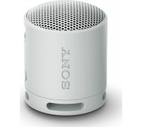 Sony Sony SRS-XB100 Gray