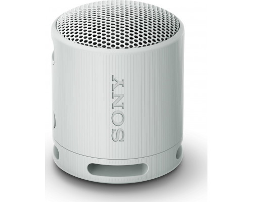 Sony Sony SRS-XB100 Gray