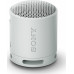 Sony Sony SRS-XB100 Gray