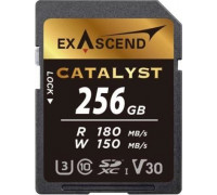 SD  ExAscend Catalyst SDXC 256 GB Class 10 UHS-I/U3 V30 (EX256GSDU1)