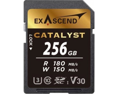 SD  ExAscend Catalyst SDXC 256 GB Class 10 UHS-I/U3 V30 (EX256GSDU1)