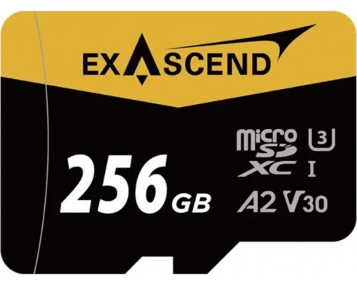 SD  ExAscend Catalyst MicroSDXC 256 GB UHS-I/U3 A2 V30 (EX256GUSDU1-AD)