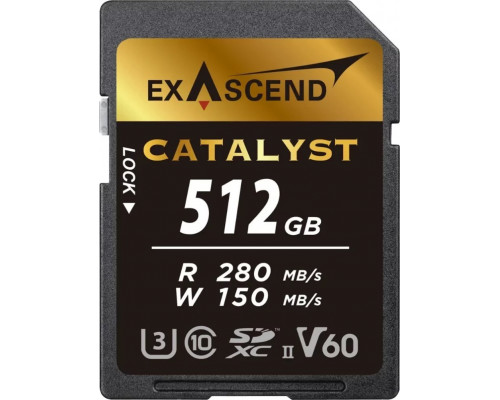 SD  ExAscend Catalyst SDXC 512 GB Class 10 UHS-II/U3 V60 (EX512GSDV60)