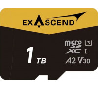 SD  ExAscend Catalyst MicroSDXC 1 TB UHS-I/U3 A2 V30 (EX1TUSDU1-AD)