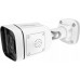 Foscam Foscam V5EP, surveillance camera (white)
