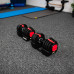 HMS ‎Dumbbells SGR18 Pro Set cast iron 2 x 18 kg