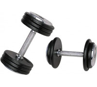 inSPORTline ‎‎Hantel ProfiST cast iron 1 x 12.5 kg