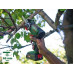 Bosch Bosch cordless saw NanoBlade UniversalCut 18V-65 solo, 18 volts, chainsaw (green/black, without battery and charger, POWER FOR ALL ALLIANCE)