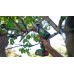 Bosch Bosch cordless saw NanoBlade UniversalCut 18V-65 solo, 18 volts, chainsaw (green/black, without battery and charger, POWER FOR ALL ALLIANCE)