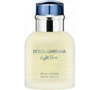 Alkotest DOLCE&GABBANA Light Blue Pour Homme EDT spray 40ml