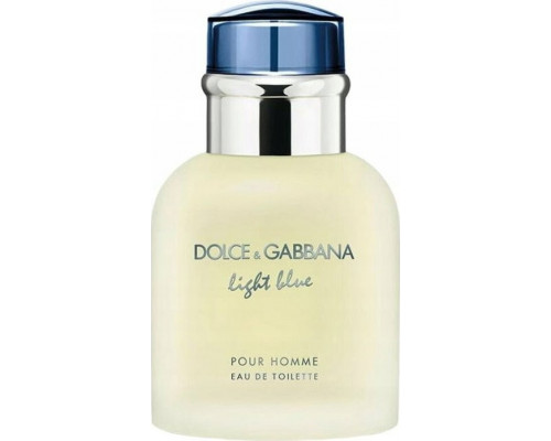 Alkotest DOLCE&GABBANA Light Blue Pour Homme EDT spray 40ml