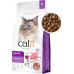 Catit Sucha karma dla kota Catit Recipies Indoor Adult z drobiem 2kg
