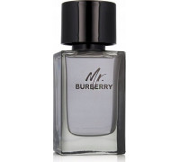 Alkotest BURBERRY Mr. Burberry EDT spray 100ml