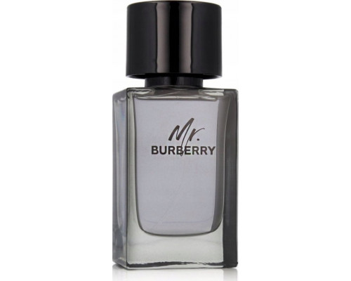 Alkotest BURBERRY Mr. Burberry EDT spray 100ml