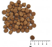 VetExpert VetExpert Raw Paleo Healthy Grain Salmon&Barley Puppy - Food dry for dogs - 10kg