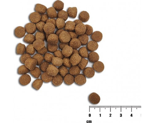 VetExpert VetExpert Raw Paleo Healthy Grain Salmon&Barley Puppy - Food dry for dogs - 10kg