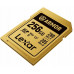 SD  Lexar Armor Gold SDXC 256 GB Class 10 UHS-II/U3 V60 (LSDAMGL256G-RNNNG)