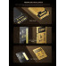 SD  Lexar Armor Gold SDXC 256 GB Class 10 UHS-II/U3 V60 (LSDAMGL256G-RNNNG)