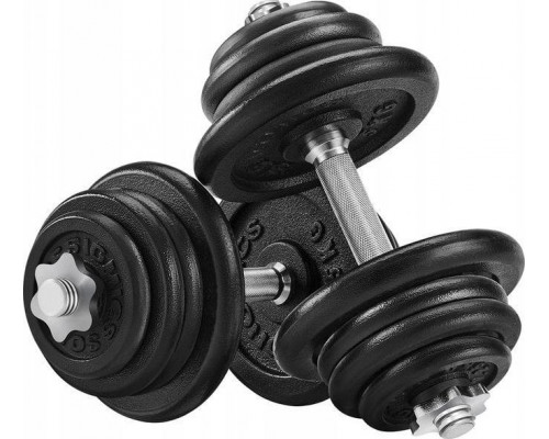 Dumbbells cast iron