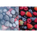 Hisense  NoFrost Dual  252 L  augstums 178 cm - Iebuvejams ledusskapis
