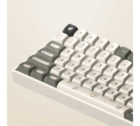 IQUNIX F97 Hitchhiker Wireless Gaming Tastatur, RGB - Moonstone-Switches