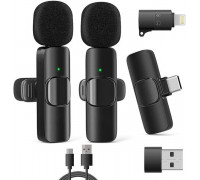 RealPower HS-1,Wireless Microphone,2 Mikrofone,1 Empfänger