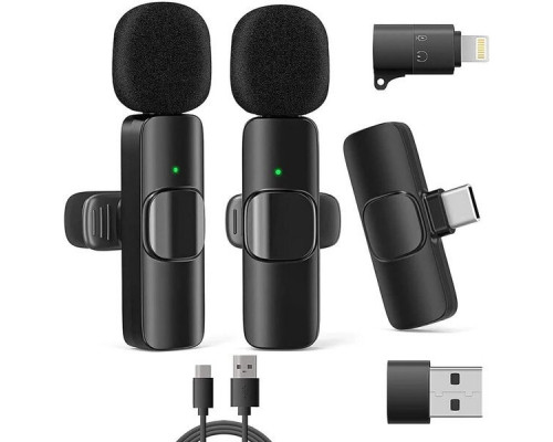 RealPower HS-1,Wireless Microphone,2 Mikrofone,1 Empfänger