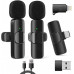 RealPower HS-1,Wireless Microphone,2 Mikrofone,1 Empfänger