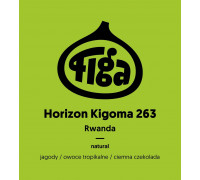 Figa Coffee - Rwanda Horizon Kigoma 263 Natural Filter 250g