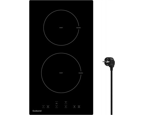 Amzchef Gudsunal   grzewcza 2 płyty  3600 W Booster
