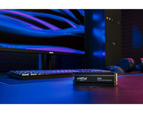 SSD P310 4TB M.2 NVMe PCIe 4.0 2280 radiator