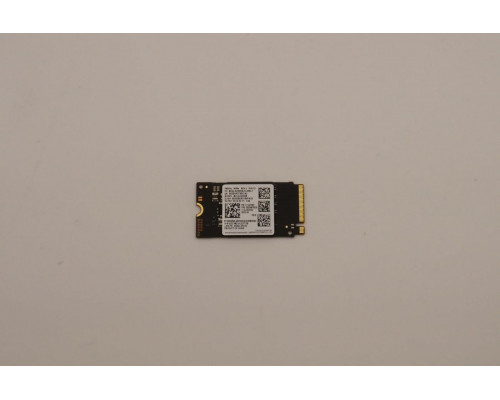 256GB M.2 2242 PCIe NVMe SSD