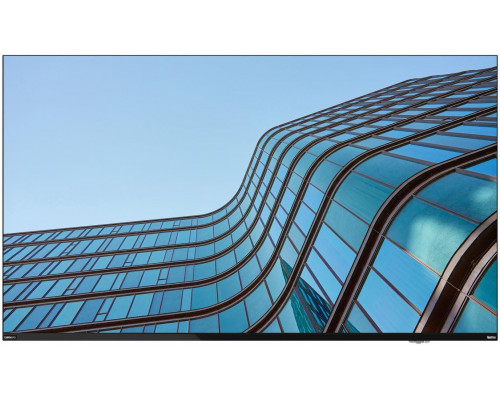 Lenovo ThinkVision E55 (64A9GAT1EK)