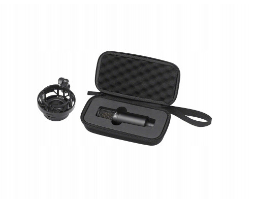SONY C-80 - PojemnoĹ›ciowy High-Res Audio