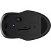 250 Dual Mouse