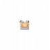 Moondrop Space Travel 2 white