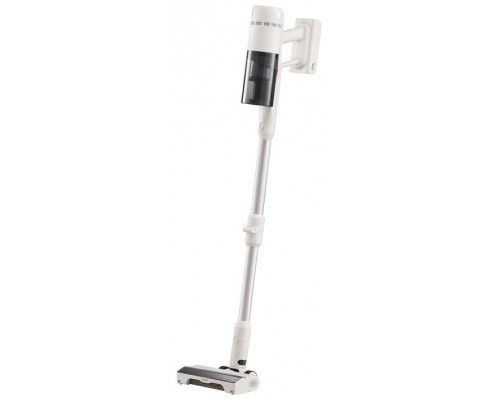 Roborock H60