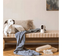 Arenti Indoor 5G Wi-Fi UHD 3K/5MP Pan Tilt Zoom Priv Cam