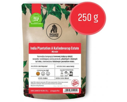 Ingagi India Plantation A Kalledevarapura Estate Natural FILTR 250g