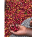 RWANDA MUHABURA HONEY ESPRESSO 1kg