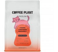 Coffee Plant kawa ziarnista Panama Canephora Filtr Anaerobowy 200 g
