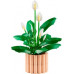 LEGO Botanical Peace Lily (11504)
