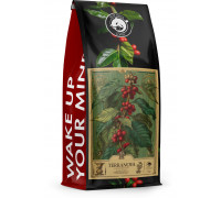 1kg Świeża - TERRANOVA Limited Edition idealna do ekspresu