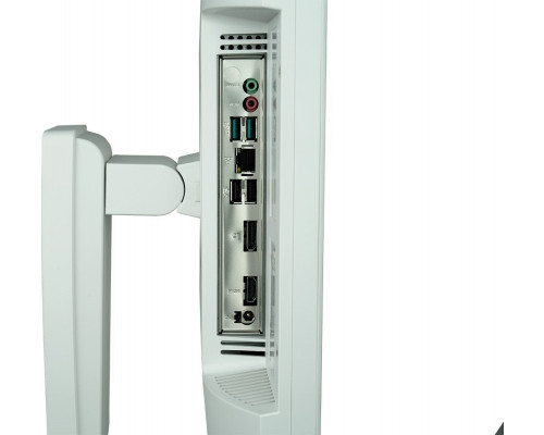 Wortmann AG TERRA ALL-IN-ONE-PC 2410HA wh GREENLINE*